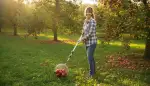 Apfelsammler: Die clevere Erntehilfe