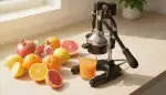 Frischer Saft: Ihre manuelle Saftpresse