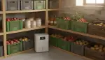 Kellerlagerung optimieren: Cleveres System für Erntegut