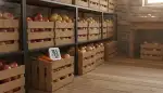 Optimale Erntelagerung mit Hordenregalen