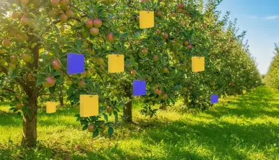 Klebende Helfer: Obstbäume schützen mit Gelbtafeln