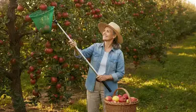 Schonend ernten: Teleskop-Obstpflücker optimal nutzen