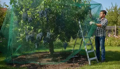 Vogelschutznetz anbringen: Ernte sicher schützen